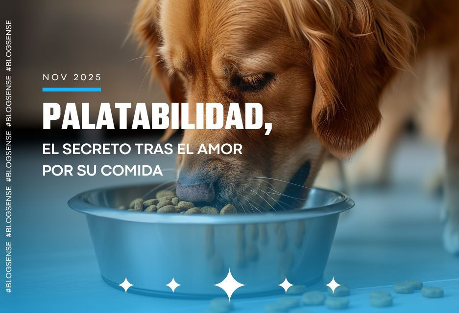 Palatabilidad, el secreto tras el amor por su comida